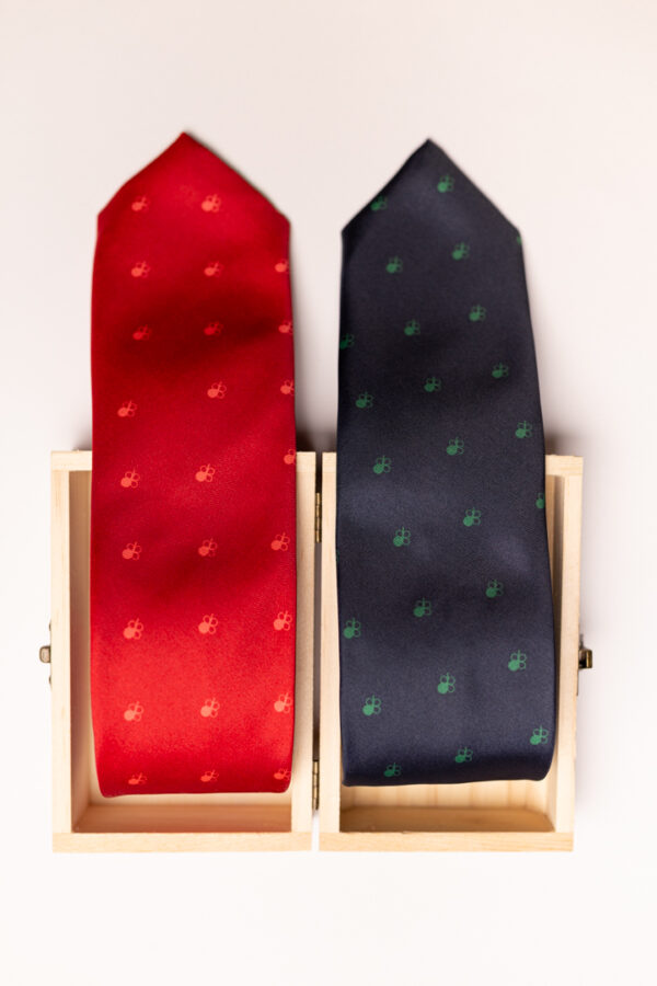 corbata incluyemoda